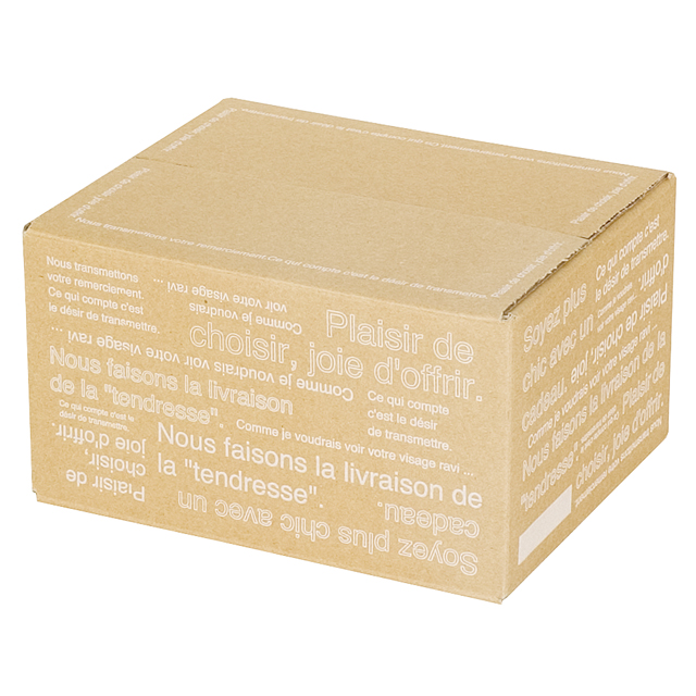 カフェオレカートンBOX-4