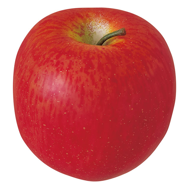 デコレーションフード-3/アップル