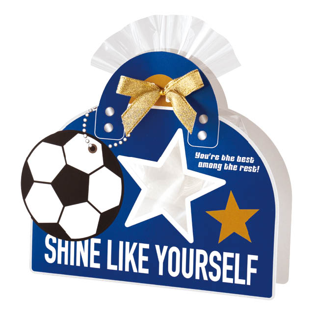 スポーツカバーバッグ-2/サッカー