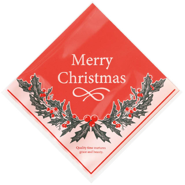 クリスマスリースシューバッグ