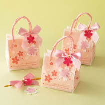 さくらキューブバッグセット-5