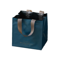 アレーヌワイドバッグ-3XS