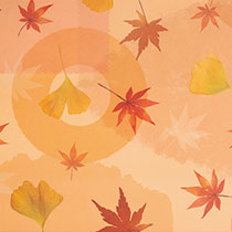 【予約】オータム包装紙-1［ケース］