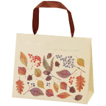 Amazon.co.jp: ヘッズ 紙袋 22×15×8cm 赤 20枚 和風 フラップ