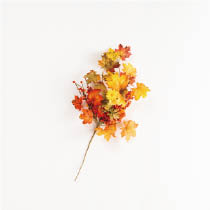 オータムデコレーションスプレー-3