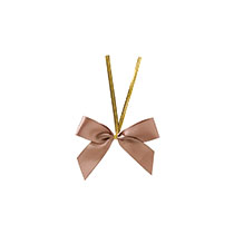 サテンリボンワイヤータイベージュ-1