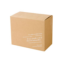 BKFデリバリーカートン-4