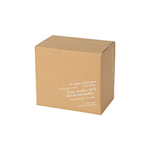 BKFデリバリーカートン-5