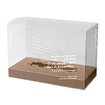 BKFフラワークリアBOX-SW