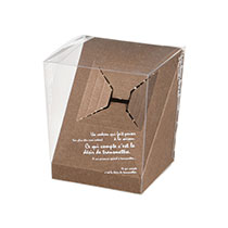 BKFフラワークリアBOX-S/斜めスタンド