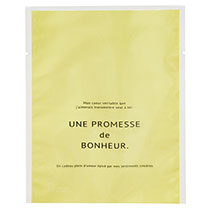 BNRグリーンスイーツパック／クリア-13冷凍可［脱酸素剤対応］