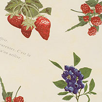 ベリーMIX包装紙-1