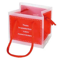 フロストキューブバッグ(レッド)-1