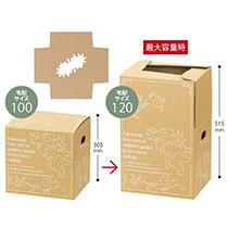 アジャストデリバリーカートン-3