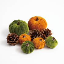 オータムデコレーション-2／かぼちゃ