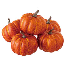 【予約】オータムデコレーション-3／パンプキン