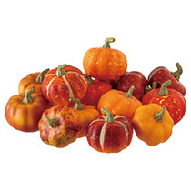 【予約】オータムデコレーション-4／ミニパンプキン