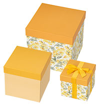 ディスプレイボックス-2