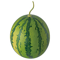 デコレーションフード-11／スイカ