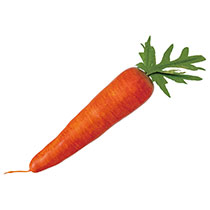 デコレーションフード-13／ニンジン