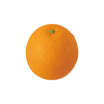 デコレーションフード-5／オレンジ