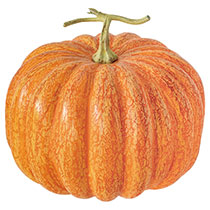 【予約】デコレーションパンプキン-1