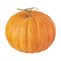 【予約】デコレーションパンプキン-2