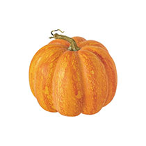 【予約】デコレーションパンプキン-3