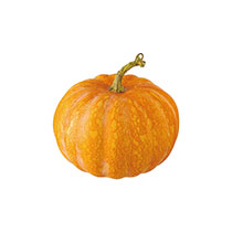 【予約】デコレーションパンプキン-4