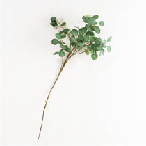 デコレーショングリーンスプレー-2