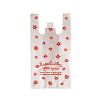 エスペシャリーレジバッグ-2