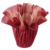 フロットンアレンジポットラッピングL-4／レッド