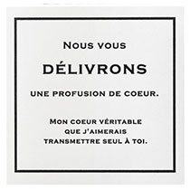 フィエルテシール-1