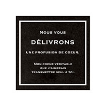 フィエルテシール-3