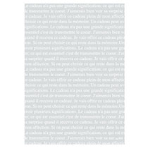 フレンチフロスト平袋-1