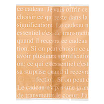 フレンチフロストクリアバッグ(キャメル)-7［乾燥剤対応］