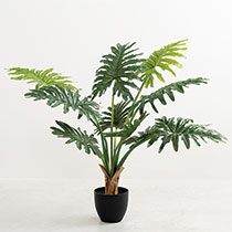 インテリアフェイクグリーン-4／セロム