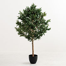 インテリアフェイクグリーン-5／オリーブ