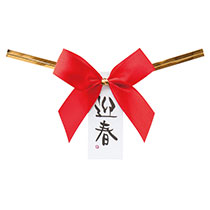 迎春ワイヤータイ-1