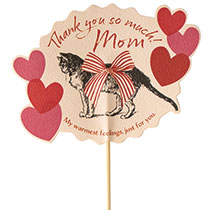 母の日フラワーピック-106／アンティークキャット