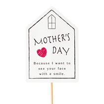 母の日フラワーピック-54/ハウス