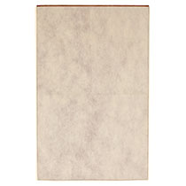 不織布ギフトバッグクリーム-BL