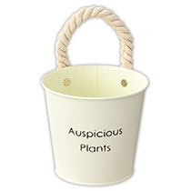 ハッピープランツブリキバケツ-S/アイボリー
