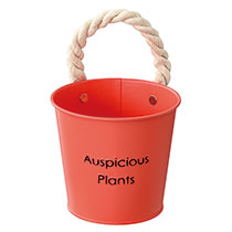 ハッピープランツブリキバケツ-S／オレンジ