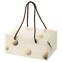 和模様ギフトボックスバッグ型-M