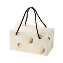 和模様ギフトボックスバッグ型-S