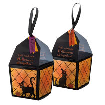 ハロウィンブラックキャットPETBOX-1