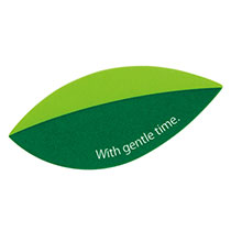 リーフケーキピック-1