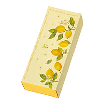 レモンスリーブボックス-2