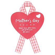 母の日シール-28/ピンクチェックリボン